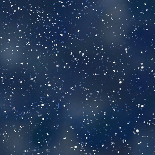 Arctic Dreams 1649-28833-N Speckled Blender By Carol Cavalaris For Qt Fabrics