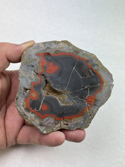 4 5/8 Inchesnatural Beautiful Colorful Kentucky Agate Slab From Estill County