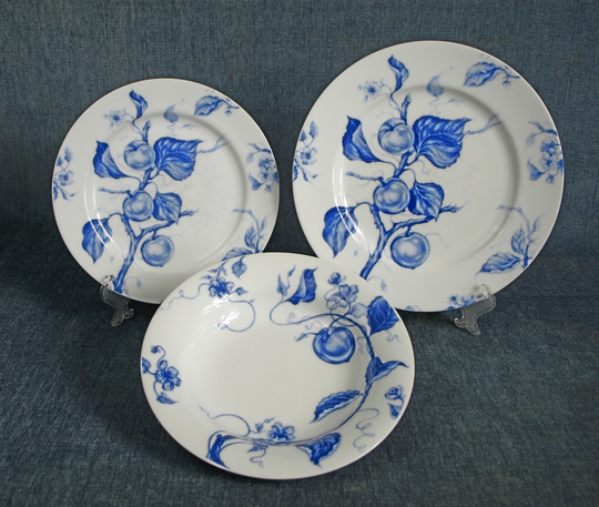 Williams - Sonoma Ormonde Porcelain Dinnerware Set W Apricot Pattern Dinner Plate, Bread/Salad Plate & Pasta Soup Bowl Japan