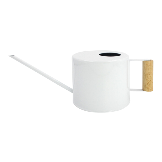 White Galvanized Steel and Wood Watering Can - Metal by World Market