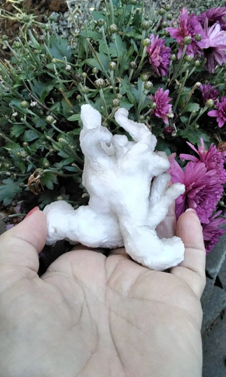 Rams Horn Selenite Display Specimen