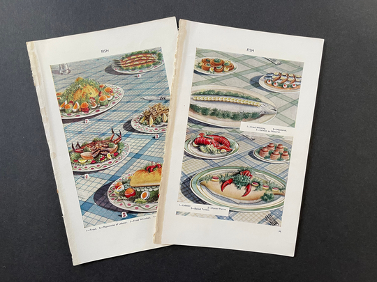 C. 1912 Seafood Prints Set Of 2 Original Antique Fish Mrs Beeton's Book Household Management Cooking Kitchen Food