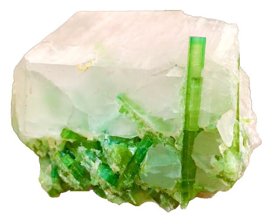 1906 Amazing Well Terminated Undamage Natural Green Color Tourmaline with Quartz F29