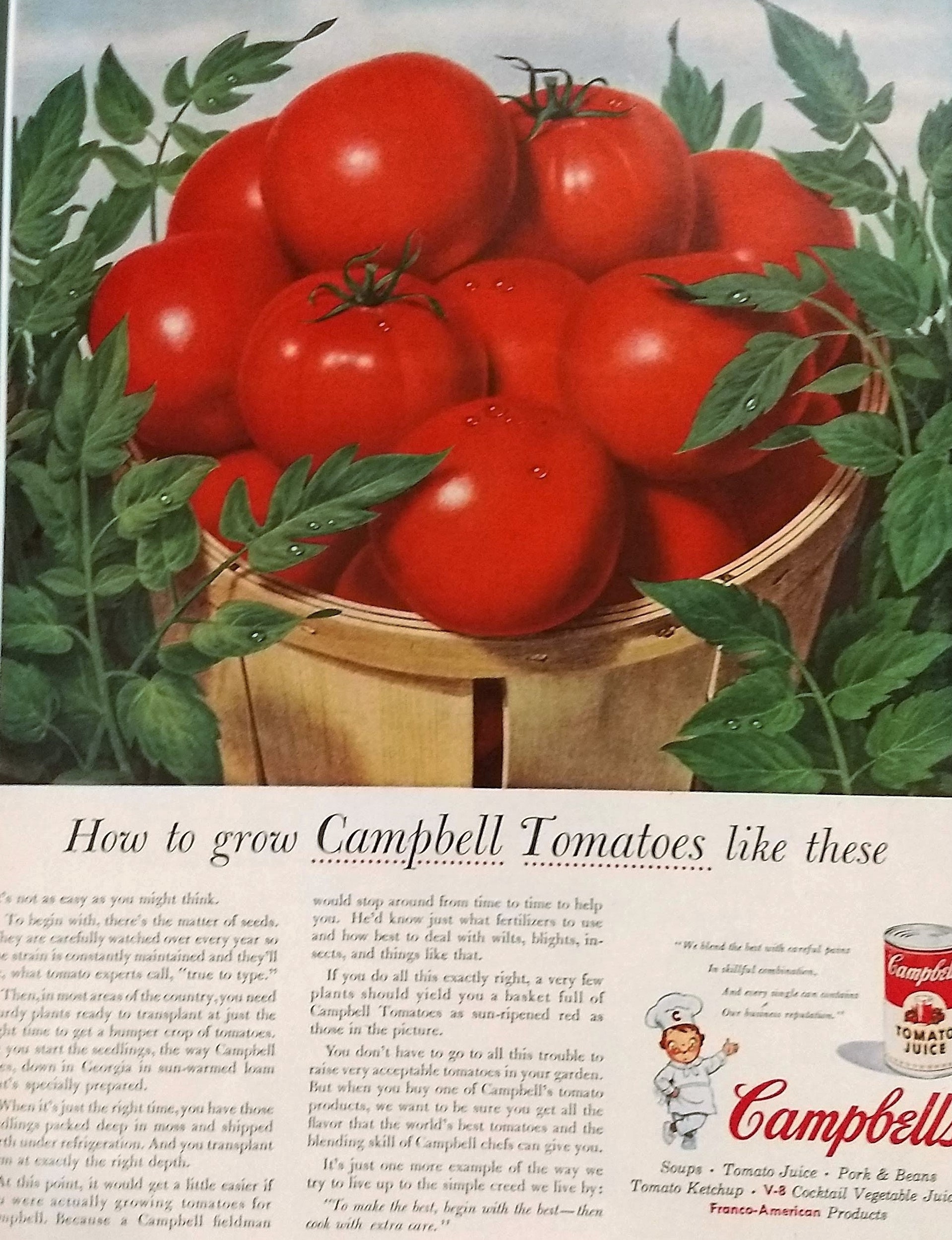 1955 Campbell's Tomato Soup Ad Matted Vintage 11x14 Print