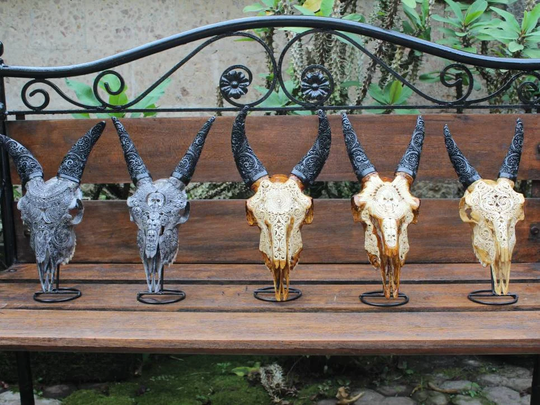 Wholesale Carved Goat Skull - 3 Pieces Carving