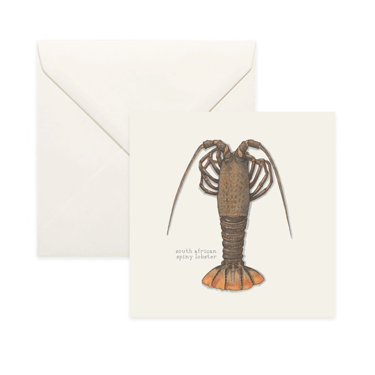 Lobsters South African/Spiny Lobster Notecard Thank You Message Card Illustration Crustacean Shellfish Seafood Culinary