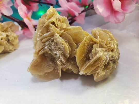 Selenite Rose Cluster Sahara Desert Tunisia V26