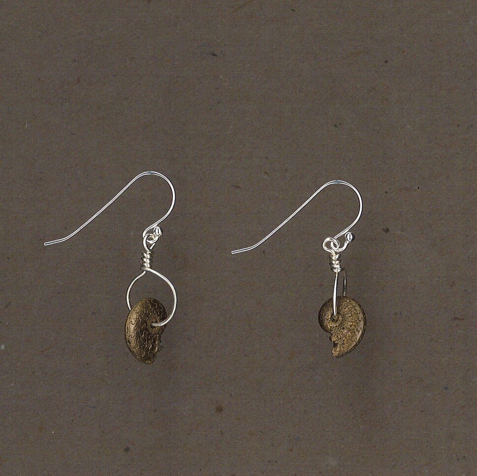 Fossil Ammonite & Sterling Silver Earrings Handmade By Chris Hay