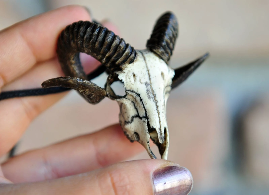 Horned Ram Skull Pendant, Realistic Skull, Miniature Art, Gothic Style Accessories