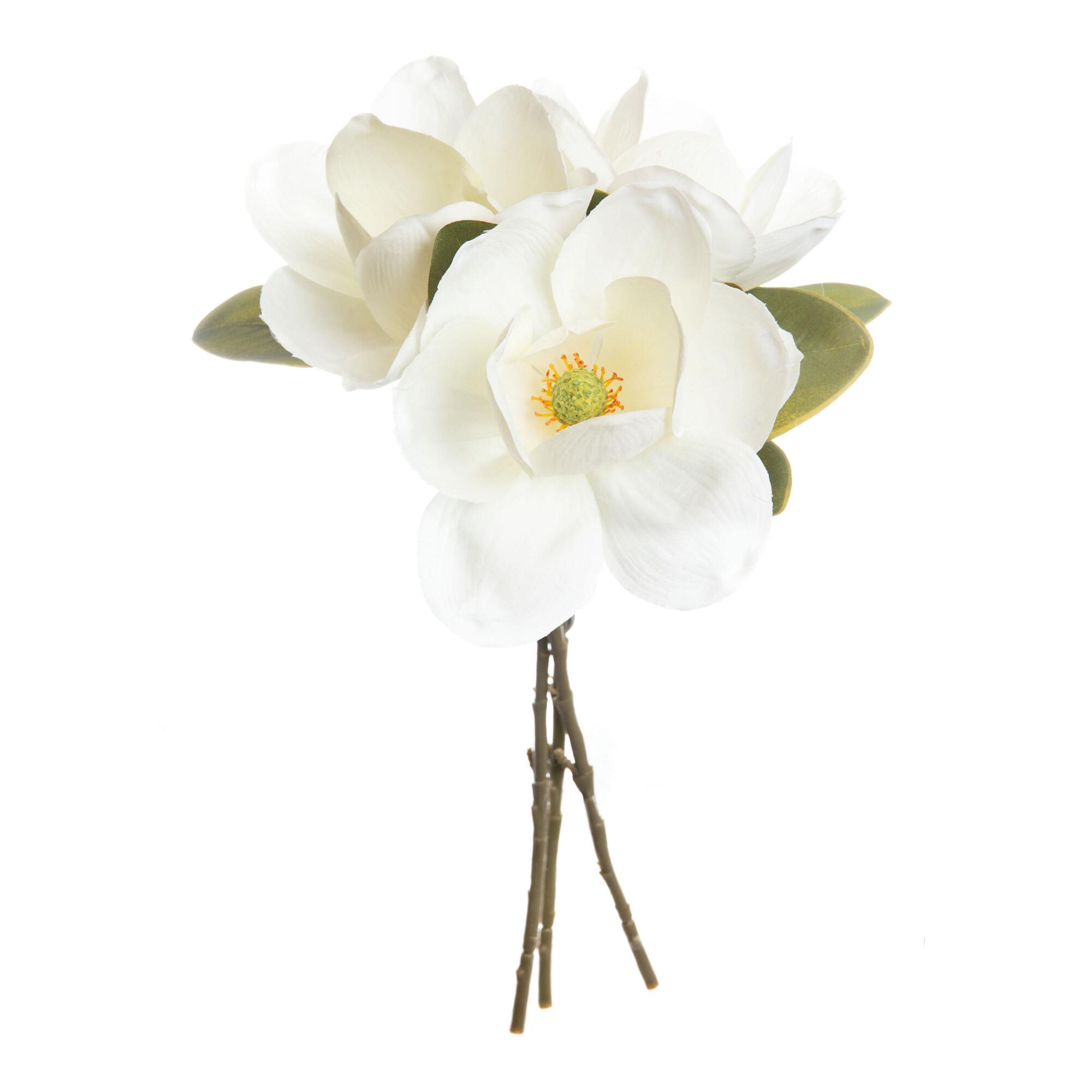 Faux White Magnolia Bunch: Cream by World Market