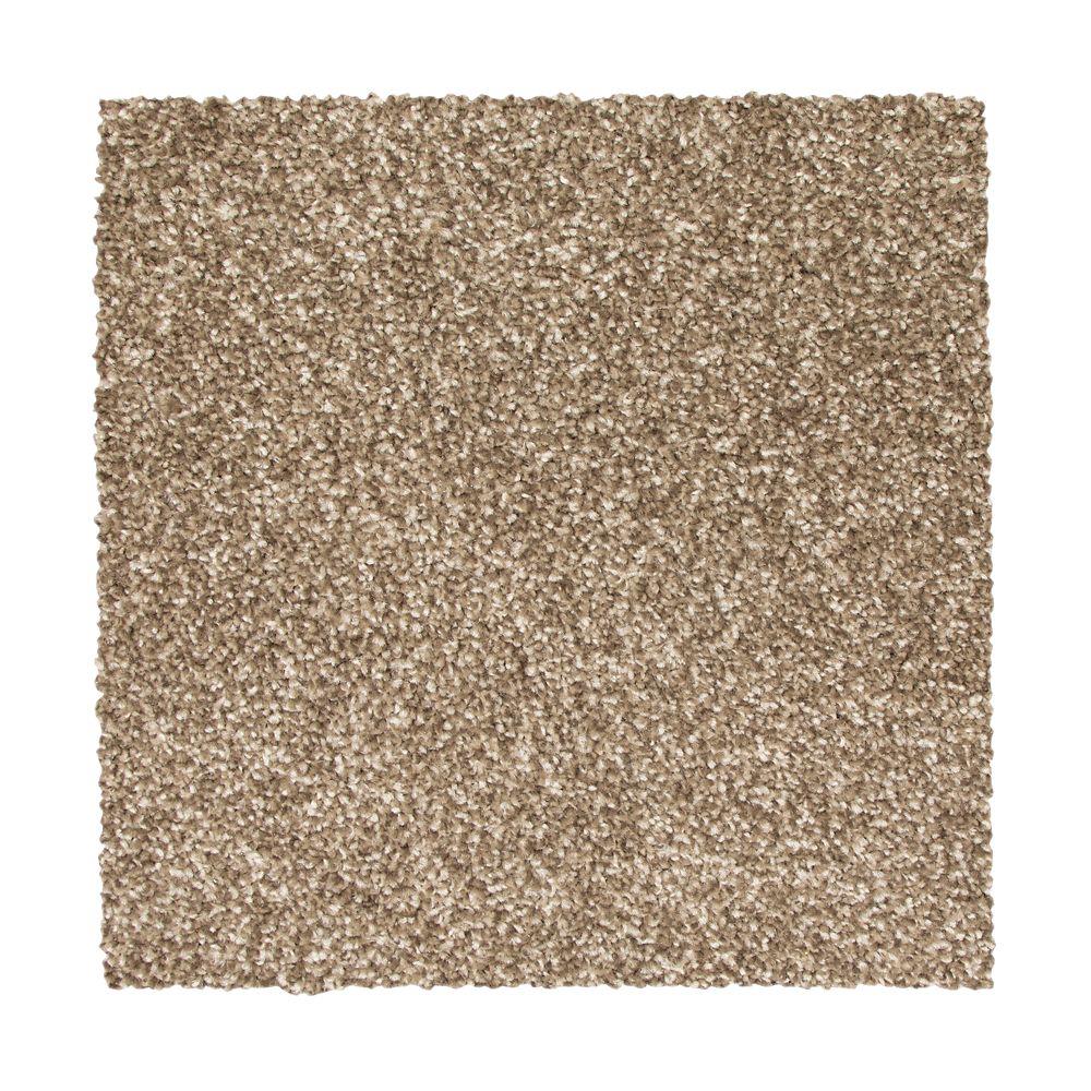 STAINMASTER Vibrant Blend I MUSHROOM Carpet Sample Polyester in Brown | STP32-L008-0808