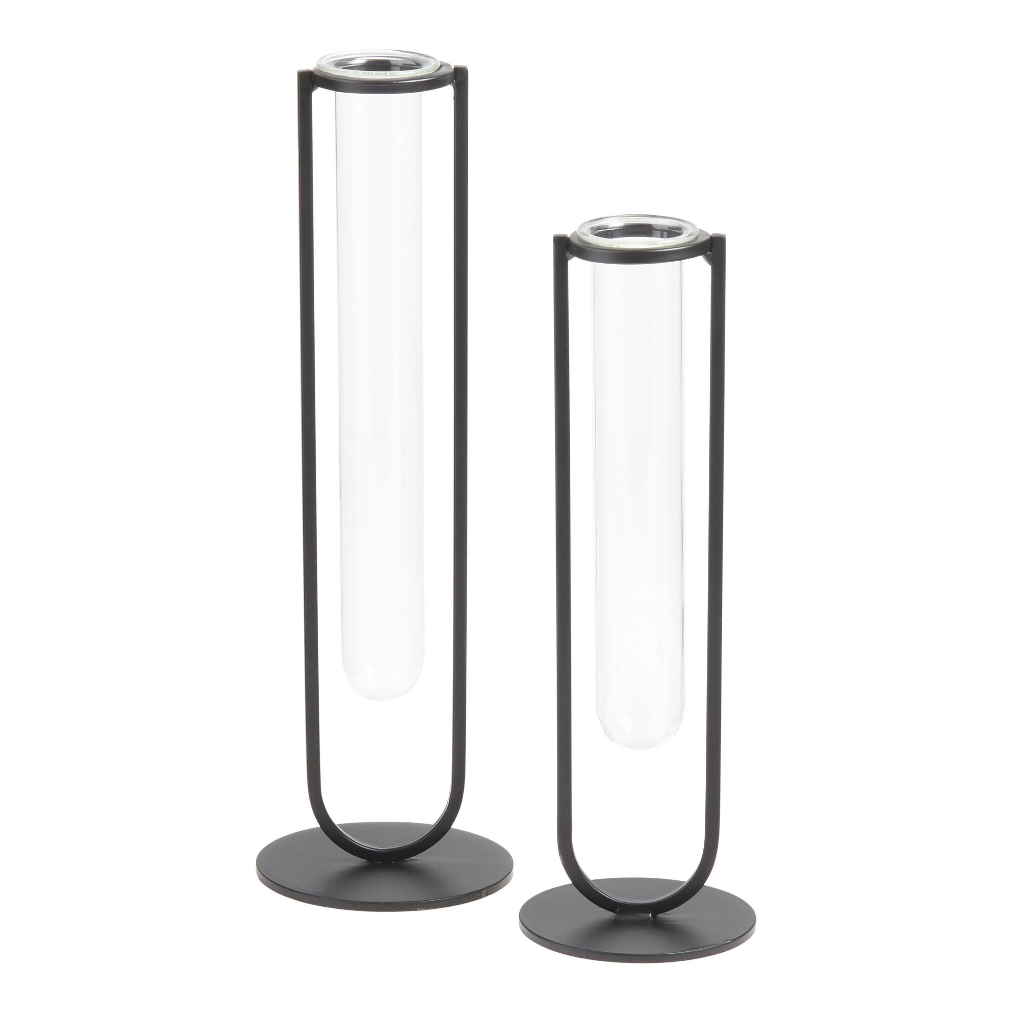 Glass Bud Vase With Black Metal Frame by World Market