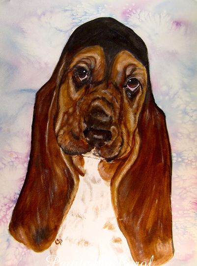 Basset Hound Original Watercolor Painting, Watercolor, Hound, Painting Of