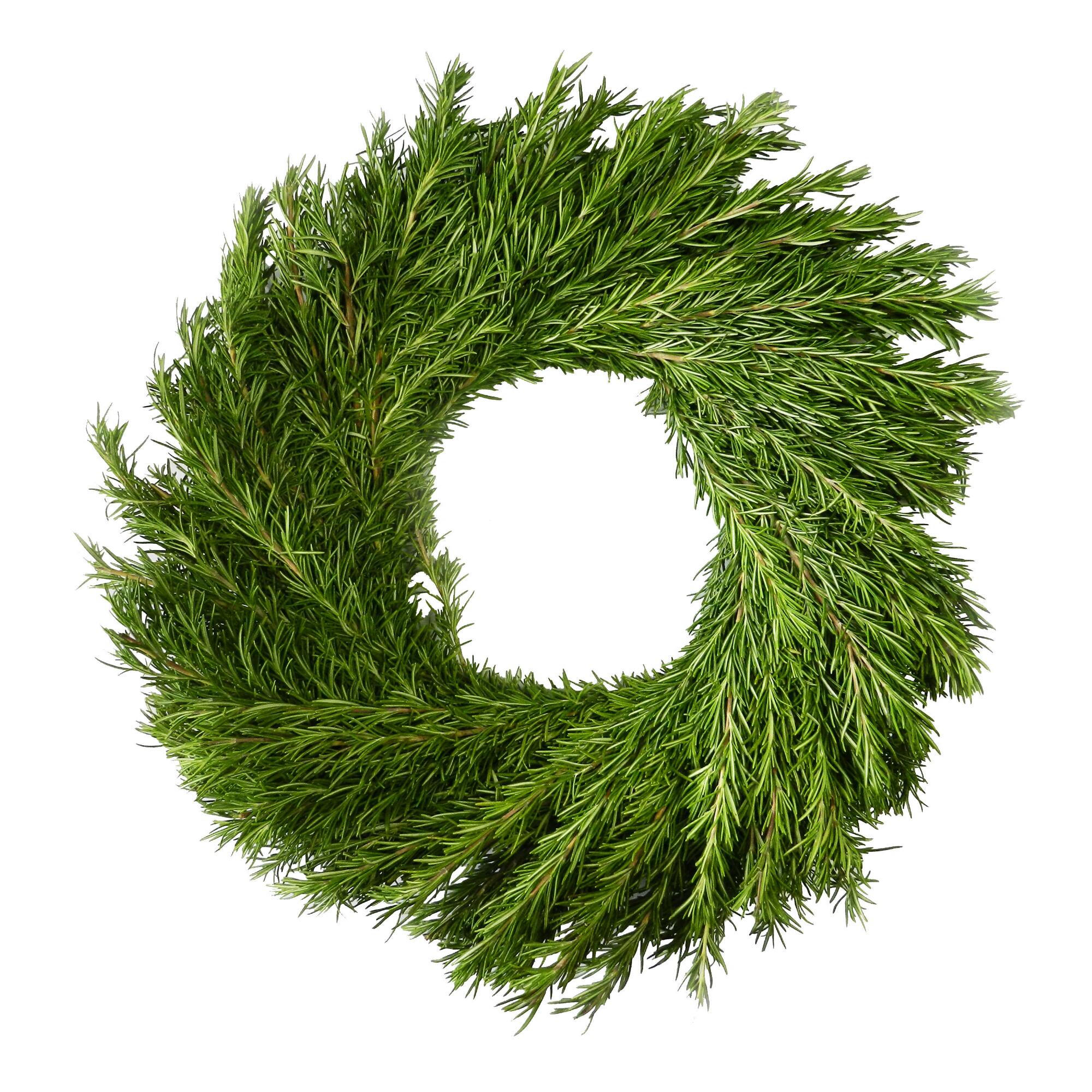 Fresh Rosemary Branch Wreath by World Market