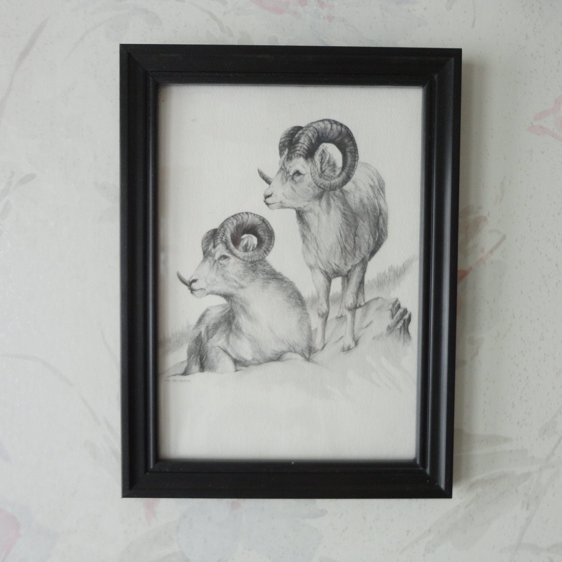 Vintage Doug Lindstrand Dall Rams 5x7 Print Framed Under Glass 1987 Alaskan Artist Wildlife Notecard Sourdough Studio Anchorage Alaska