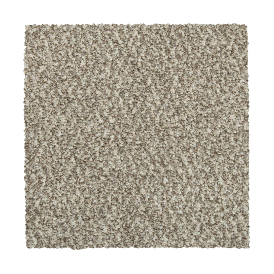 STAINMASTER Vibrant Blend I Nomad Textured Carpet Sample (Indoor) Polyester in Brown | STP32-L004-0808