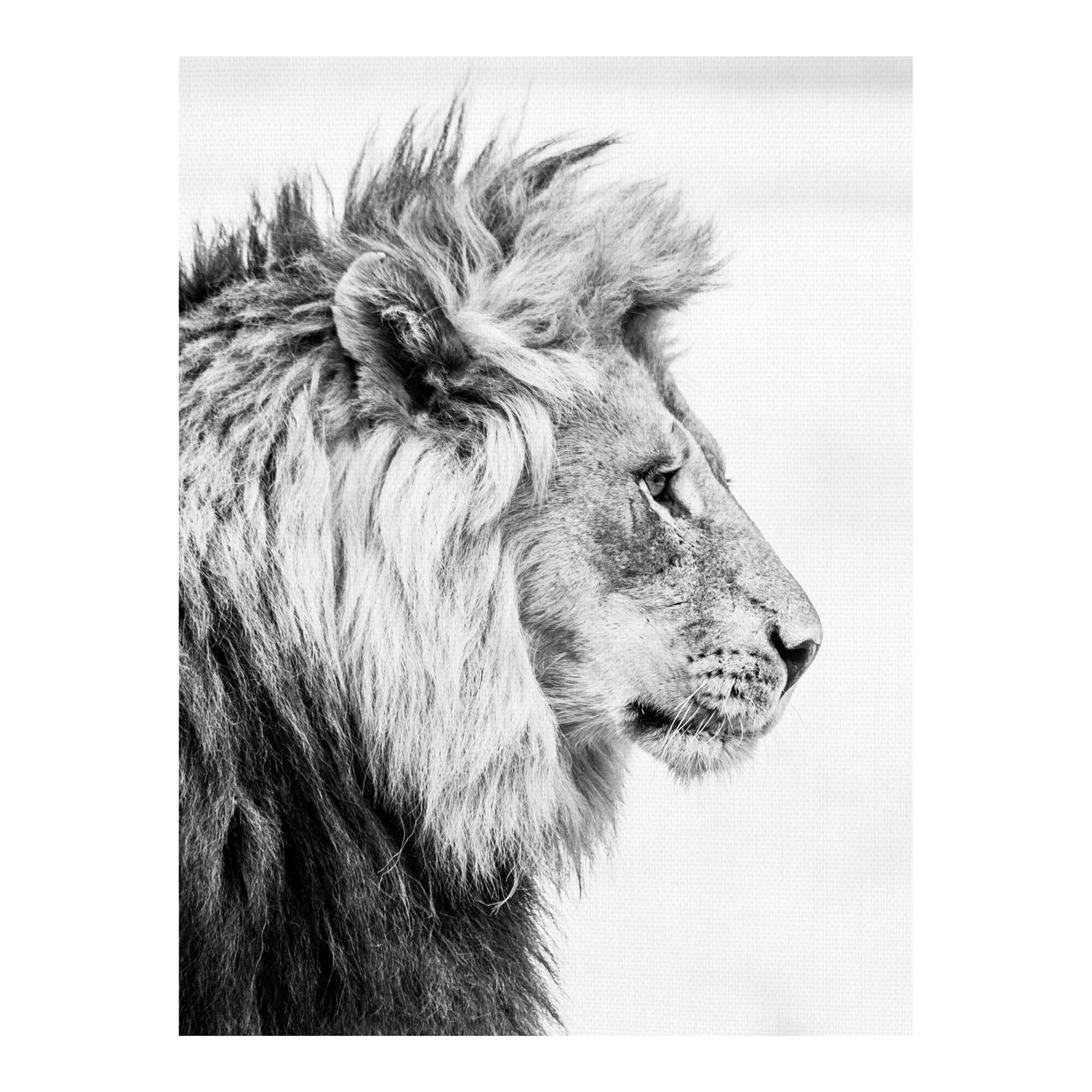 Fierce Black and White Canvas Wall Art by World Market