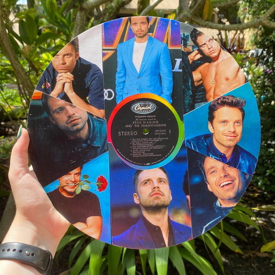 Sebastian Stan Vinyl Collage