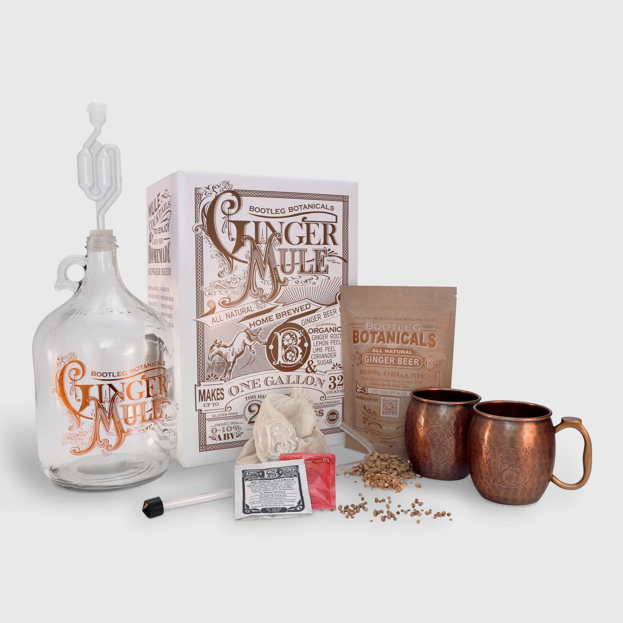 Bootleg Botanicals Ginger Beer Making Kit with Copper Mugs by World Market