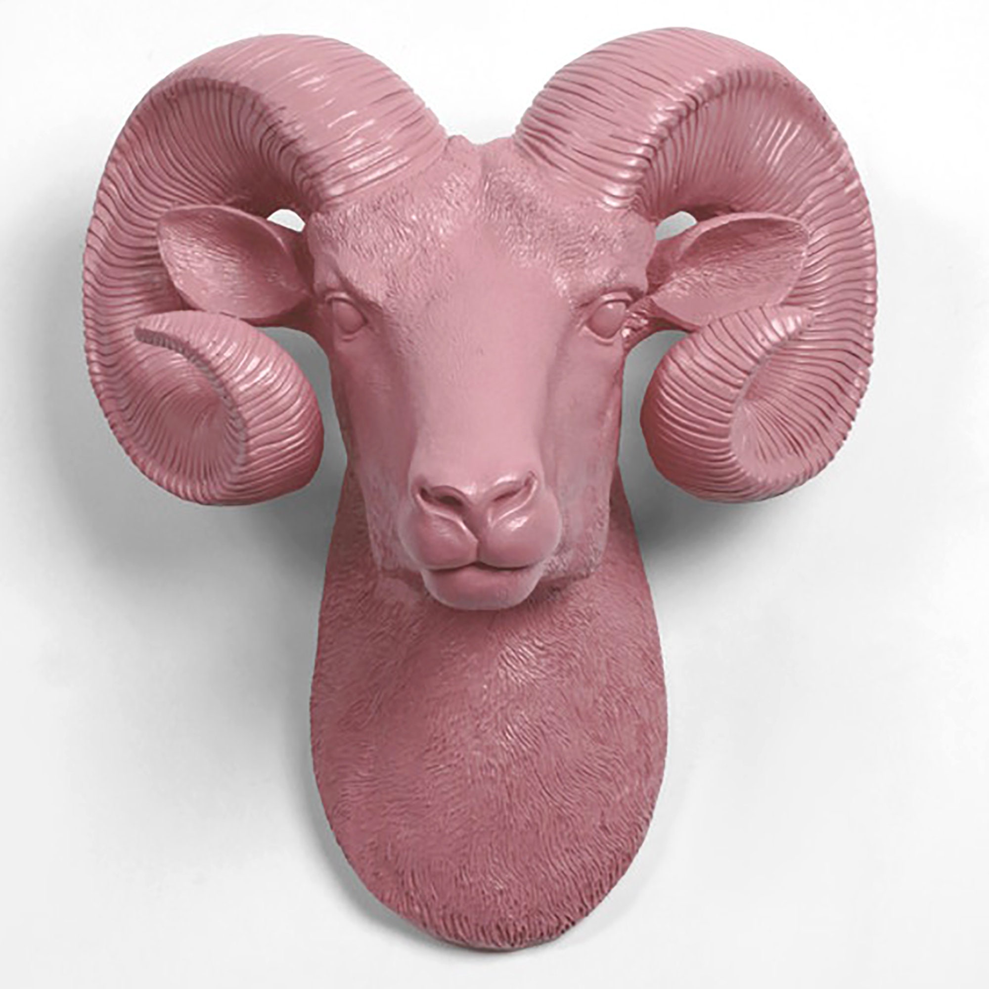 xl Lilac Ram Head Wall Mount - The Darby Rustic Bighorn Sheep/Ram, Modern Farmhouse Home Decor By White Faux Taxidermy