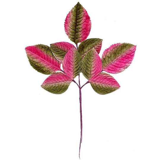 Vintage Millinery Leaves 1950S Japan Velvet Pink & Green Vl065Gpm