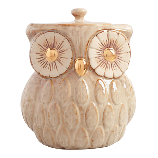 Gold Reactive Glaze Ceramic Owl Cookie Jar - Metal by World Market