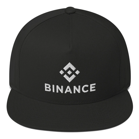Binance Coin Hat, Embroidered Flat Bill Snapback Cap, Crypto Gift