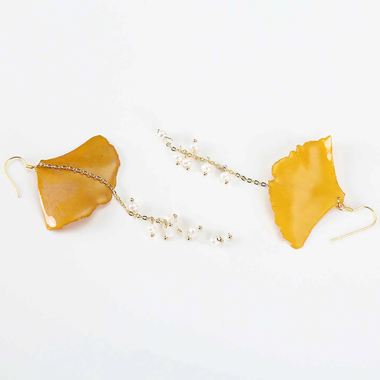 Ginkgo Leaves Earrings -Ginkgo Biloba Earrings -Real Drop