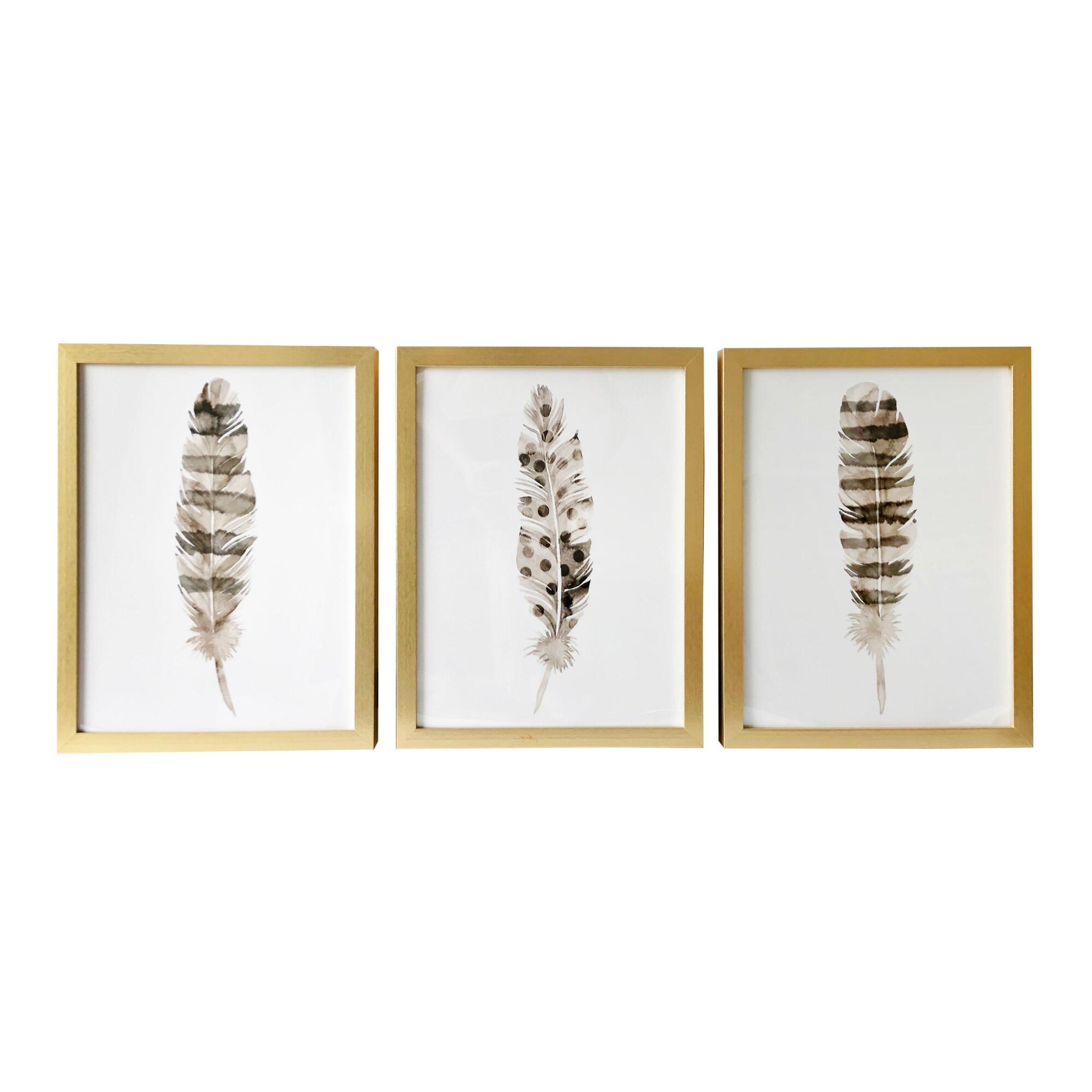 Neutral Feathers Framed Wall Art 3 Piece: Brown by World Market