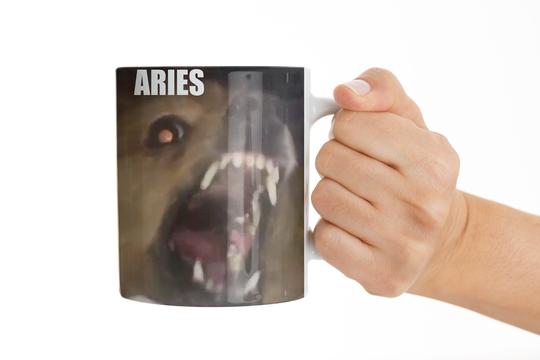 Aries Zodiac Mug Funny Dog Dogs As Signs Gift For Her Him Astrology