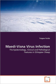 Maedi-Visna Virus Infection Tsegaw Fentie Author
