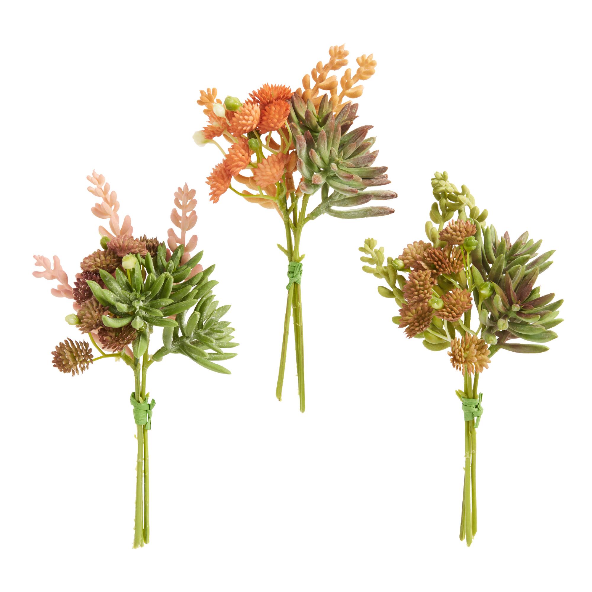 Faux Mixed Succulent Bunches Set Of 3: Multi - Plastic - Small by World Market