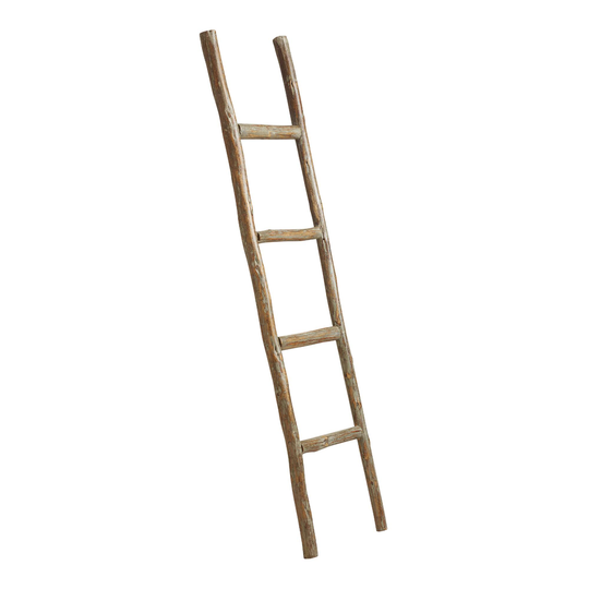CRAFT Natural Eucalyptus Ladder Decor - Wood by World Market