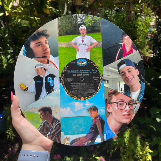 Noah Schnapp Vinyl Collage