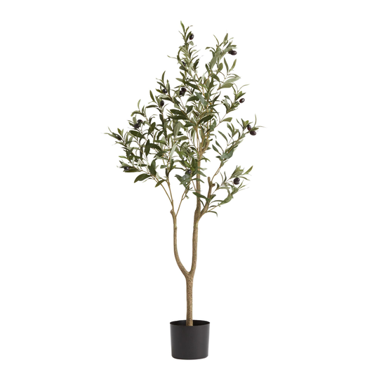 Faux Olive Tree 48 Inch by World Market
