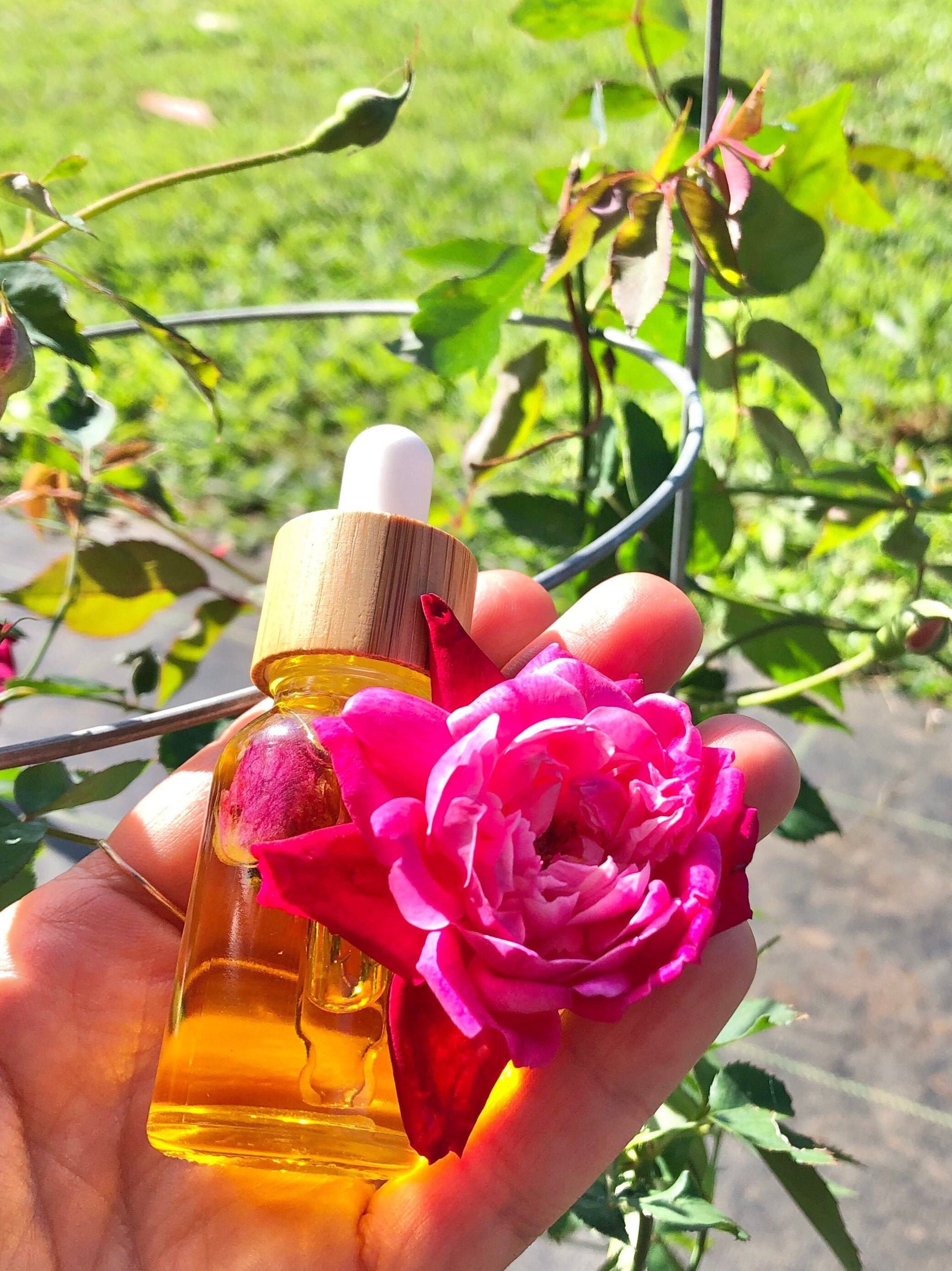 Organic Lokelani Rose Blend Oil