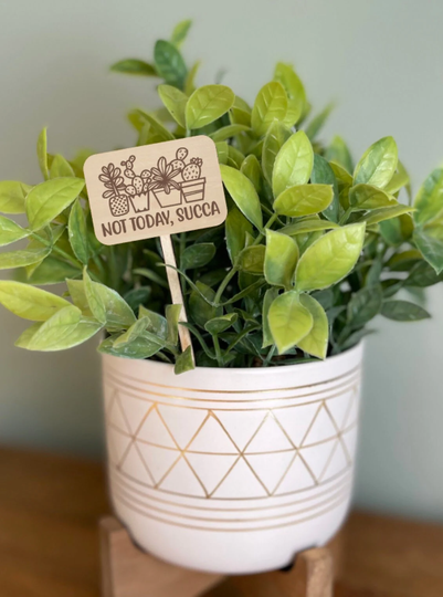 Funny Plant Marker, Not Today Succa, Succulents, Engraved Wood Stake, Plant Sign, Housewarming Gift For Lover Mother's Day