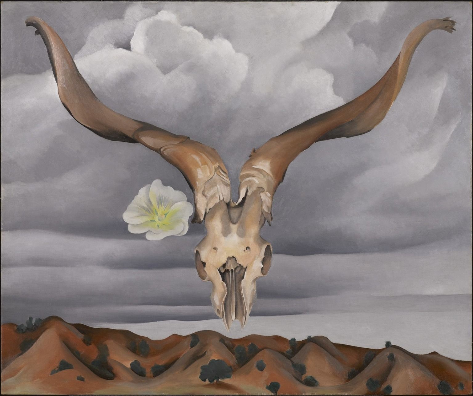 Ram's Head, White Hollyhock-Hills Painting By Georgia O'keeffe Reprint Poster Texture Photo Paper