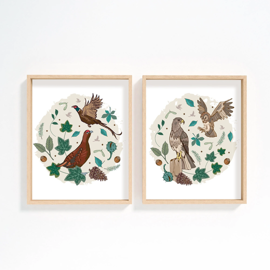 Set Of 2 Woodland Birds Prints, Grouse & Pheasant, Buzzard Tawny Owl Wall Art