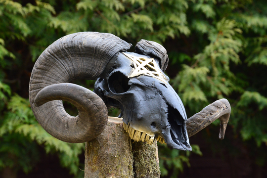 Huge Ram Skull With Carved Pentagram | Black & Gold Made To Order
