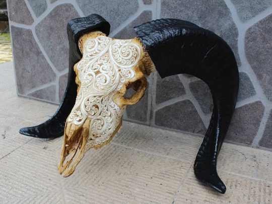 Carved Ram Skull - Real Hand Carved With Horn