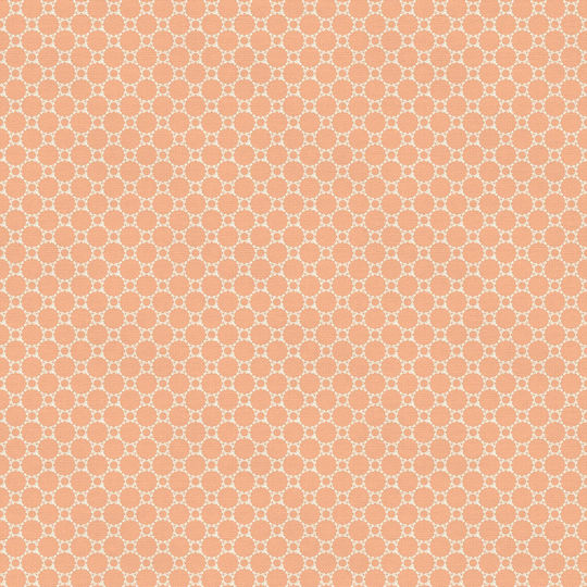Blender Cotton Fabric By The Yard - Lace Peach Paintbrush Studio 120-22383