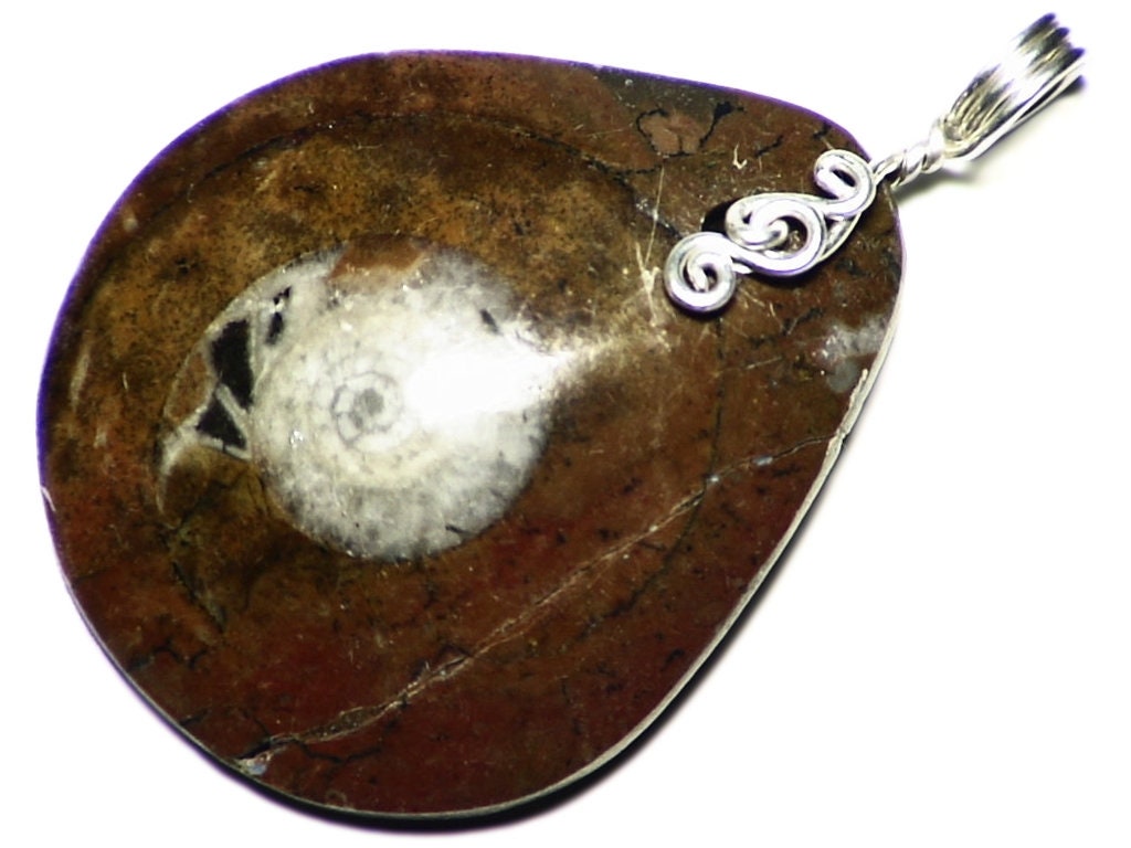 Matrix Fossil Jewelry, Ammonite Pendant in Sterling Silver, Real Necklace, Natural Fossil, Teardrop Cut Helix