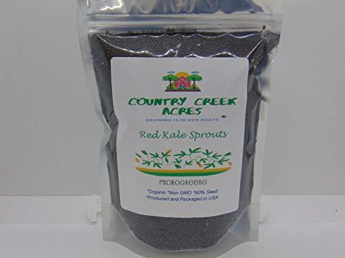 14 oz Red Kale Seeds for Microgreens