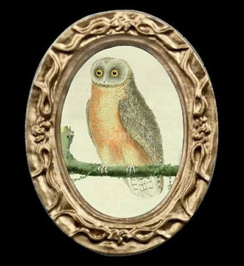 Owl Bird Portrait Miniature Dollhouse Art Picture 6661