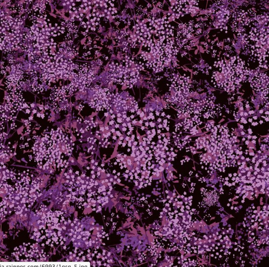 Garden Delights 111, Baby's Breath in Fuschia