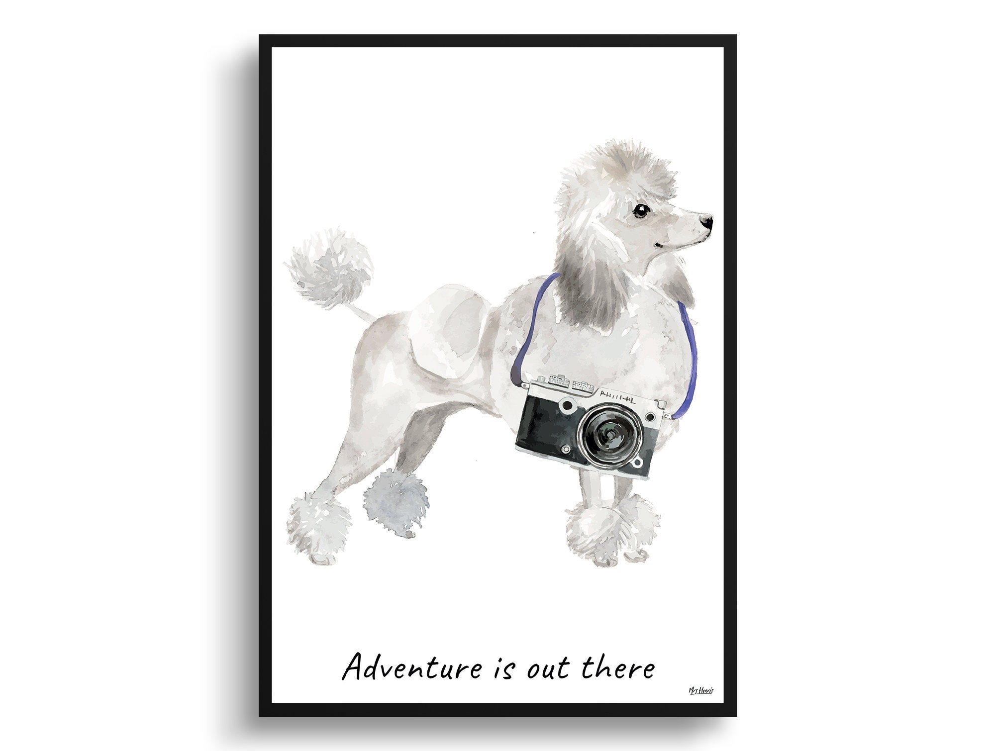 Adventure Is Out There White Poodle Dog Print Illustration. Framed & Un-Framed Wall Art Options. Personalised Name