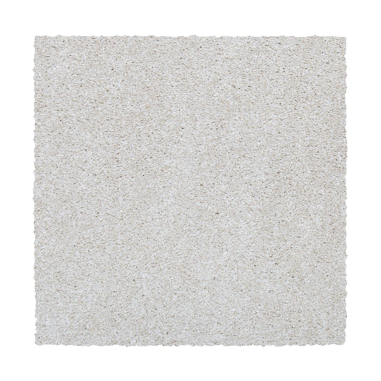 STAINMASTER Vibrant blend II Whirlwind Textured Carpet Sample (Indoor) Polyester in Brown | STP33-L005-0808