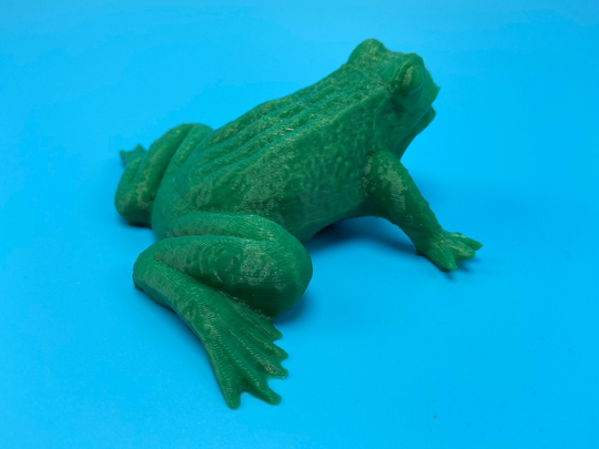 Fake Frog Geocache Container