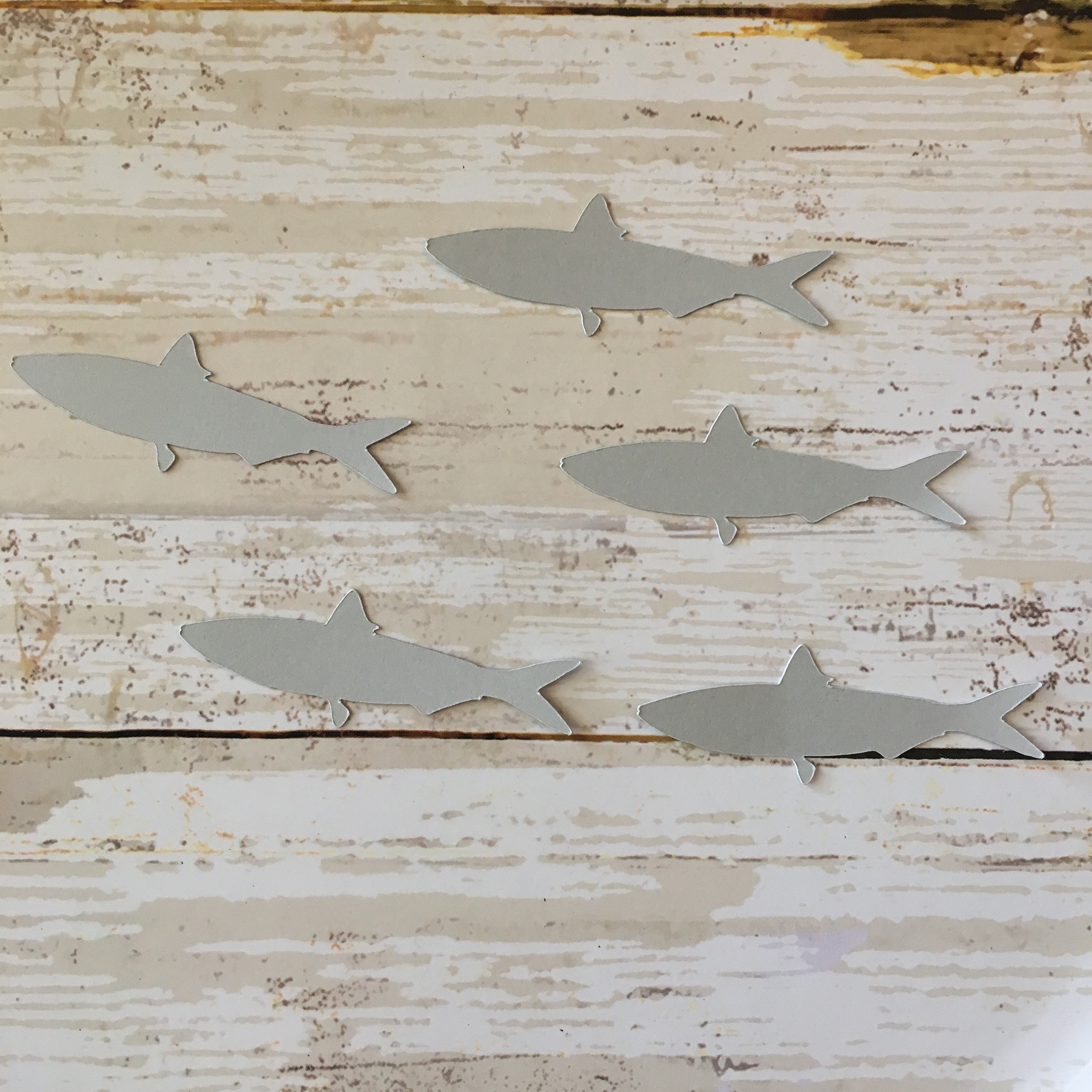 Sardine Confetti | Cut Out Decoration Fish Seafood Ocean